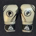ACHILLEUS BOXING GLOVES